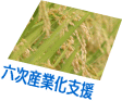 �H�i�\���̊�b�m��
